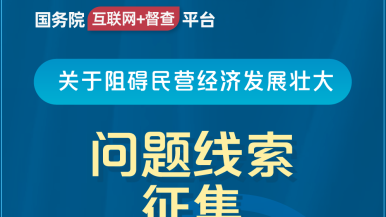 免费操小骚逼国务院“互联网+督查”平台公开征集阻碍民营经济发展壮大问题线索